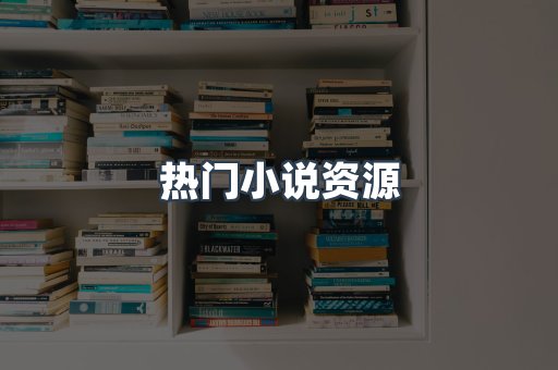 海外电子书